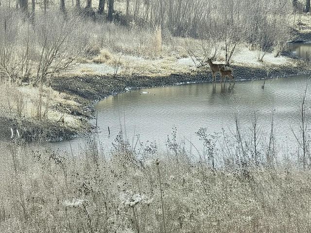 720 SW 800th Road, Chilhowee, MO 64733