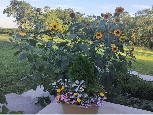 720 SW 800th Road, Chilhowee, MO 64733