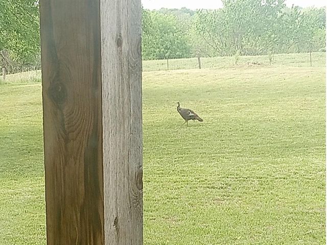 720 SW 800th Road, Chilhowee, MO 64733