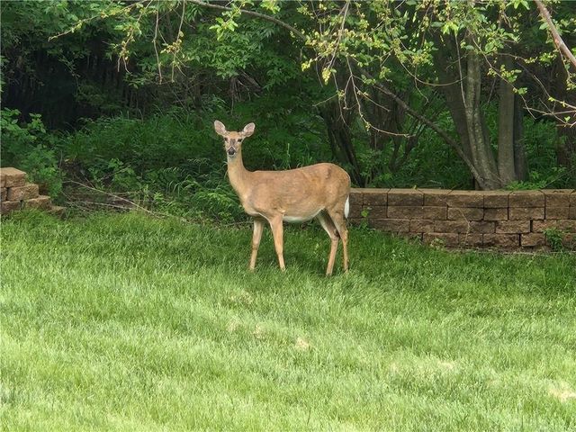 720 SW 800th Road, Chilhowee, MO 64733