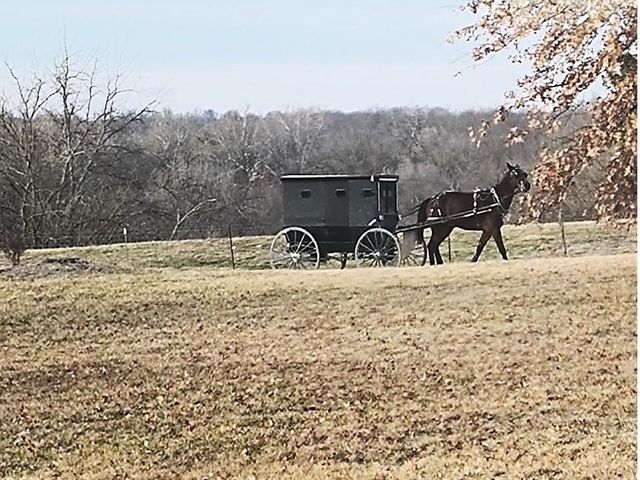 720 SW 800th Road, Chilhowee, MO 64733