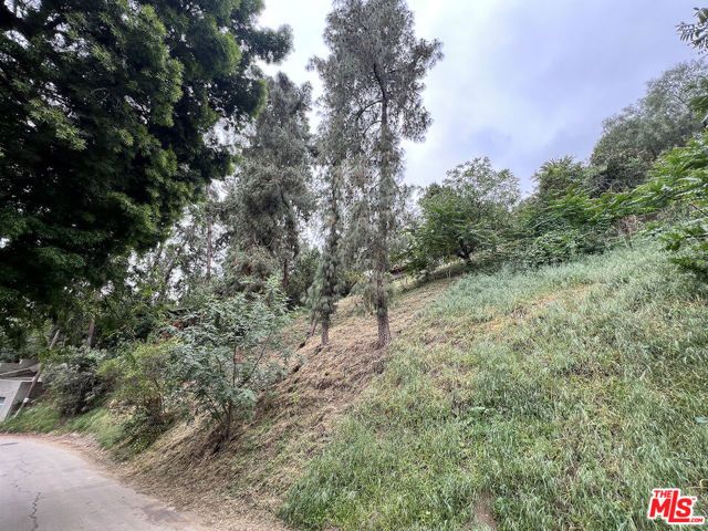 0 W Avenue 44, Los Angeles, CA 90065