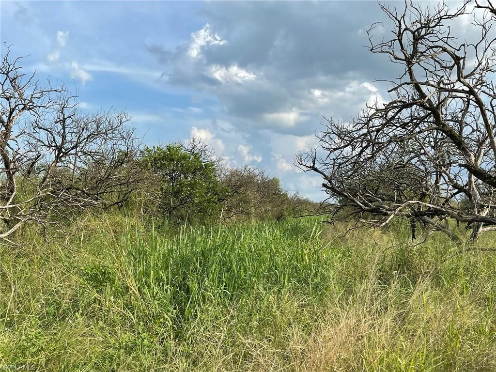 6876 5th RD, LABELLE, FL 33935 — exterior