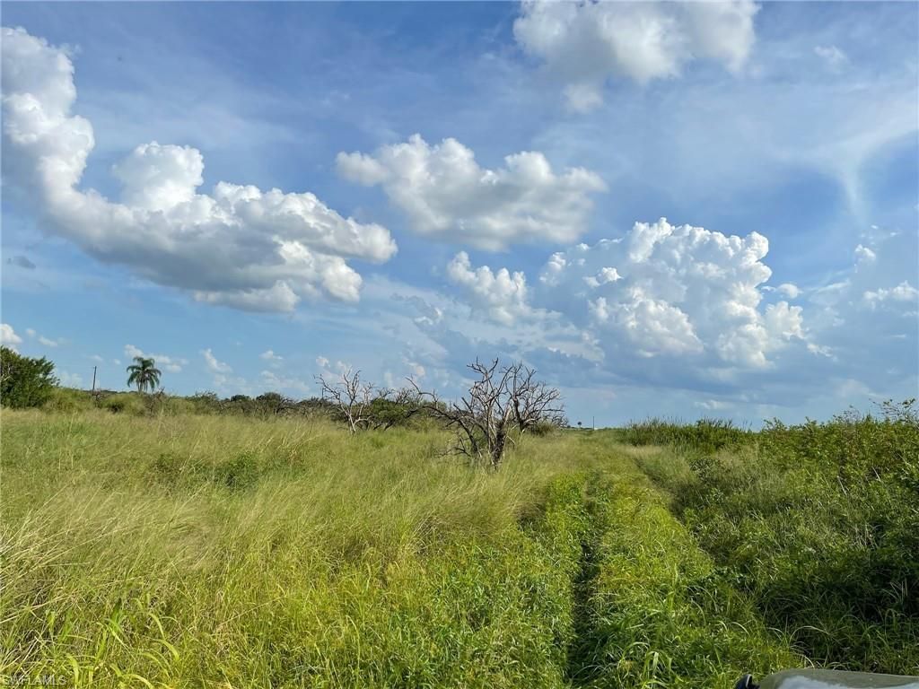6876 5th RD, LABELLE, FL 33935 — photo 2