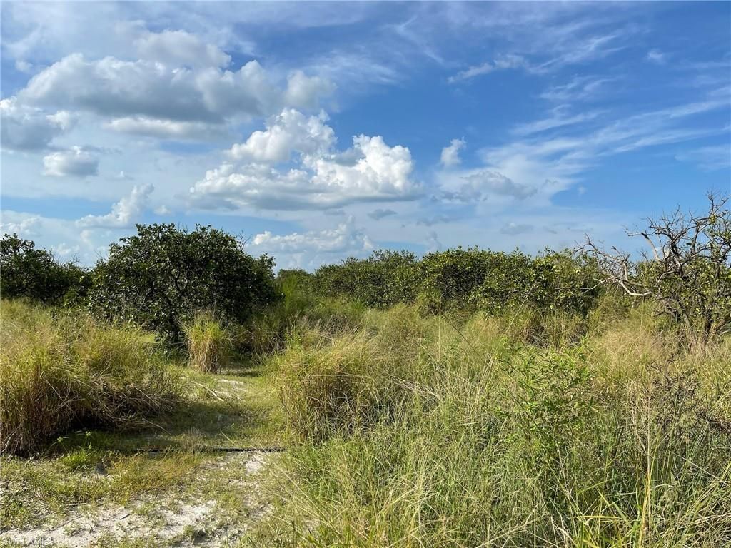 6876 5th RD, LABELLE, FL 33935 — photo 3