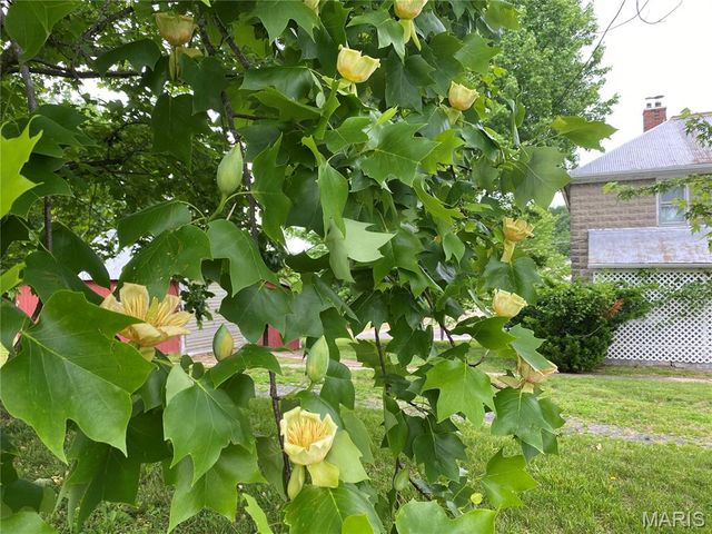 405 W 18th Street, Hermann, MO 65041