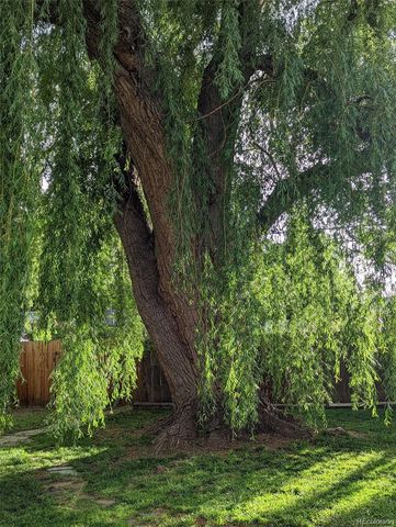 1739 Collyer Street, Longmont, CO 80501