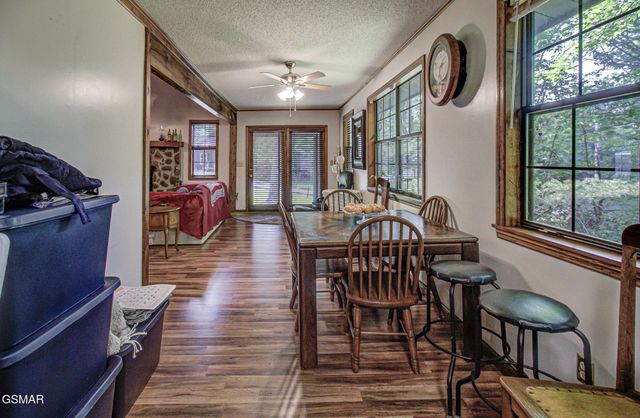 223 Greywolf Way, Cosby, TN 37722