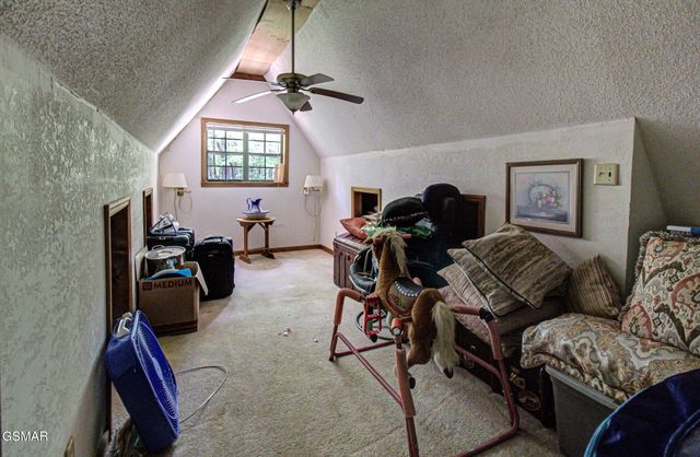 223 Greywolf Way, Cosby, TN 37722