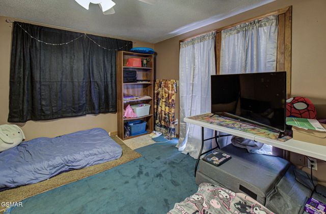 223 Greywolf Way, Cosby, TN 37722