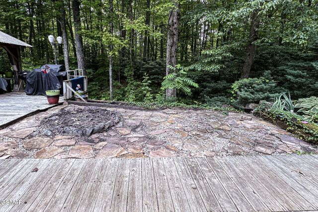 223 Greywolf Way, Cosby, TN 37722