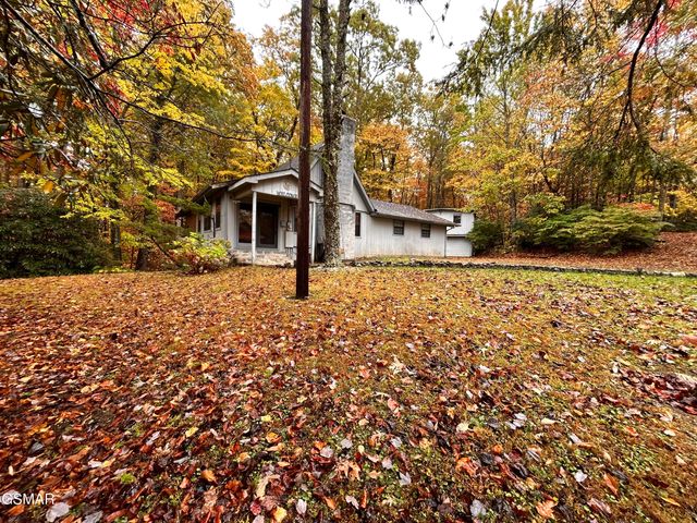 223 Greywolf Way, Cosby, TN 37722