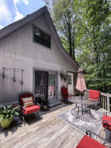 223 Greywolf Way, Cosby, TN 37722