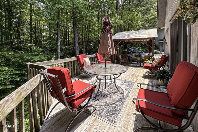 223 Greywolf Way, Cosby, TN 37722