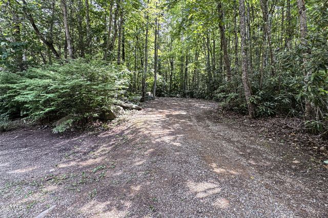 223 Greywolf Way, Cosby, TN 37722