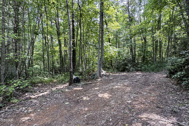 223 Greywolf Way, Cosby, TN 37722