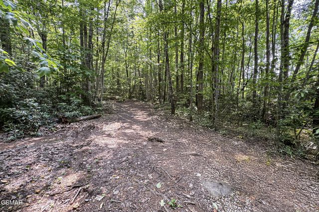 223 Greywolf Way, Cosby, TN 37722