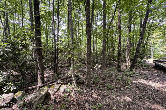 223 Greywolf Way, Cosby, TN 37722