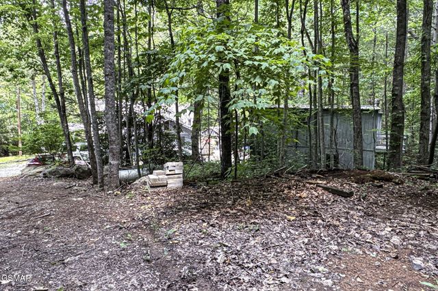 223 Greywolf Way, Cosby, TN 37722