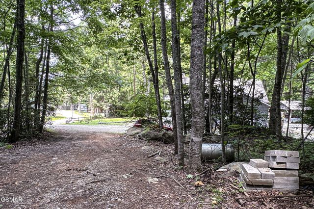 223 Greywolf Way, Cosby, TN 37722