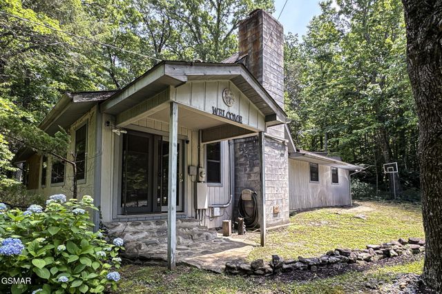 223 Greywolf Way, Cosby, TN 37722