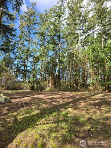 1012 N Scenic Heights Road, Oak Harbor, WA 98277