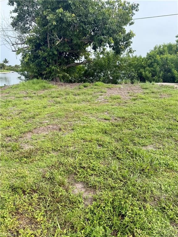 1805 Tropicana PKWY W, CAPE CORAL, FL 33993 — photo 3