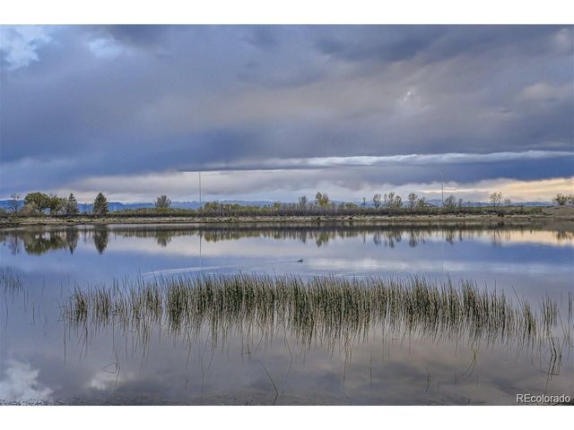 253 Beldock Ct, Brighton, CO 80601