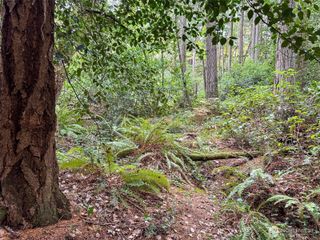 4700 & 4740 Rose Avenue NE, Bainbridge Island, WA 98110