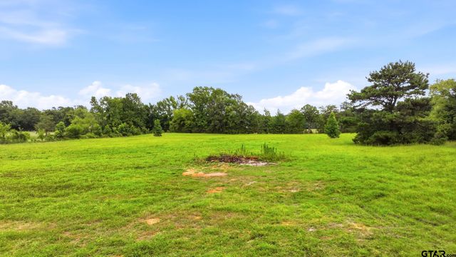 15199 CR 373, Gladewater, TX 75647