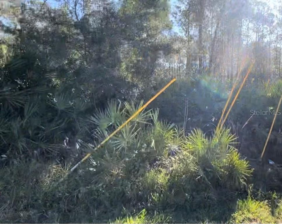 1645 11TH AVENUE, Deland, FL 32724