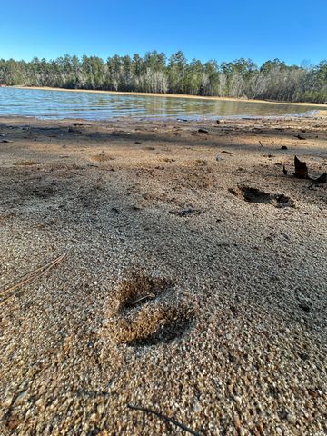 Lot 62 Wisteria Drive, Lincolnton, GA 30817