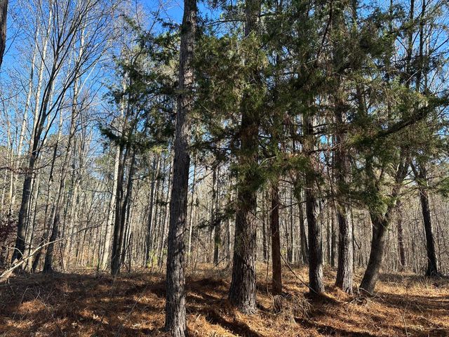 Lot 62 Wisteria Drive, Lincolnton, GA 30817