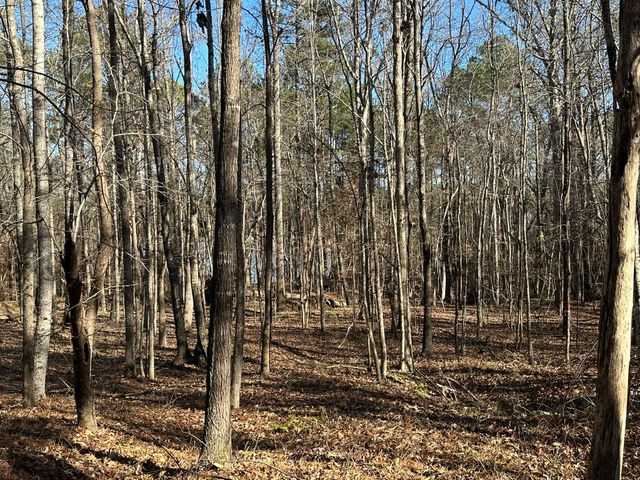 Lot 62 Wisteria Drive, Lincolnton, GA 30817
