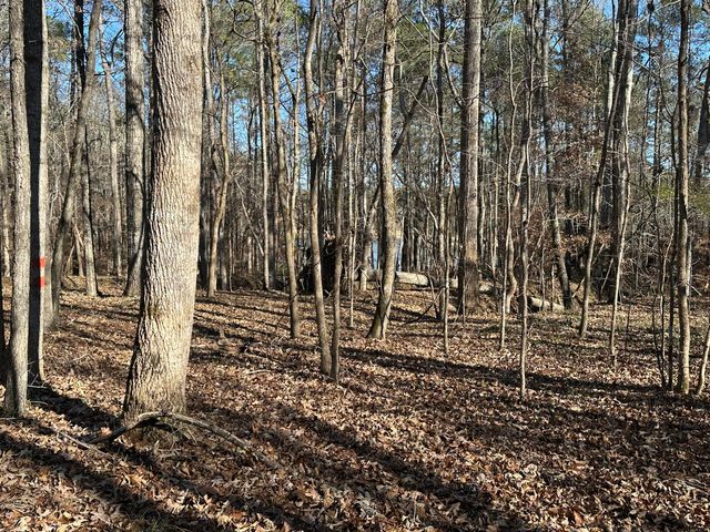 Lot 62 Wisteria Drive, Lincolnton, GA 30817