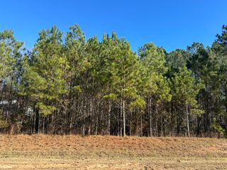Lot 62 Wisteria Drive, Lincolnton, GA 30817