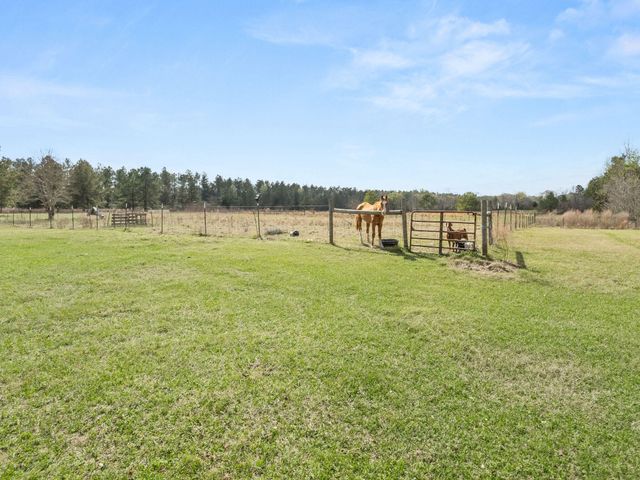 438 Billy Young, Sugartown, LA 70662