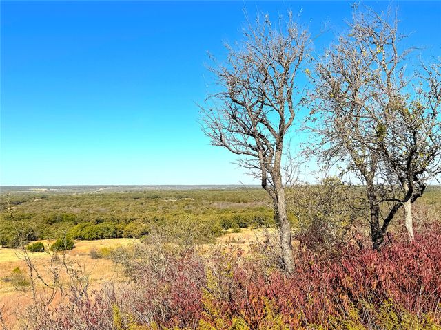 1849 Two Bush Road, Perrin, TX 76486