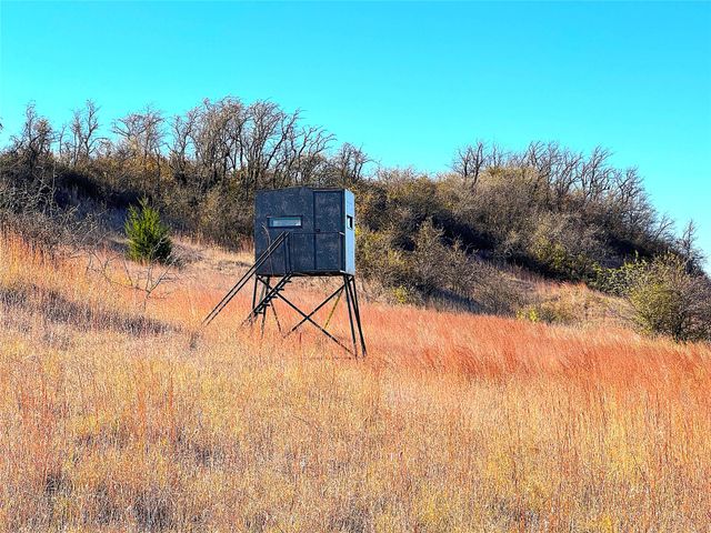 1849 Two Bush Road, Perrin, TX 76486