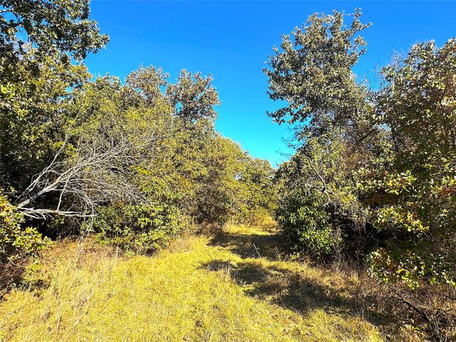 1849 Two Bush Road, Perrin, TX 76486