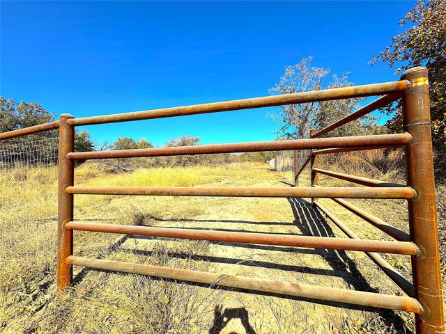 1849 Two Bush Road, Perrin, TX 76486
