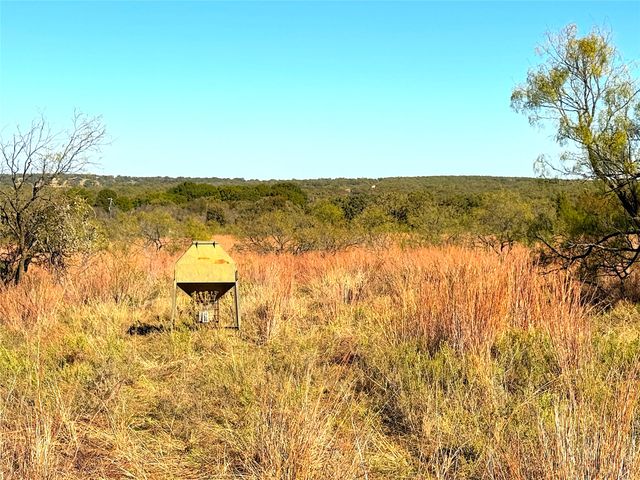 1849 Two Bush Road, Perrin, TX 76486