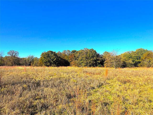 1849 Two Bush Road, Perrin, TX 76486