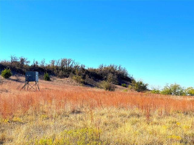 1849 Two Bush Road, Perrin, TX 76486