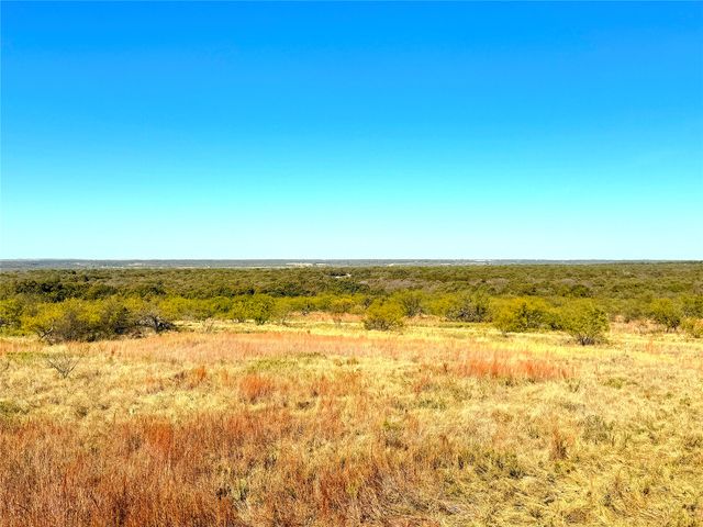 1849 Two Bush Road, Perrin, TX 76486