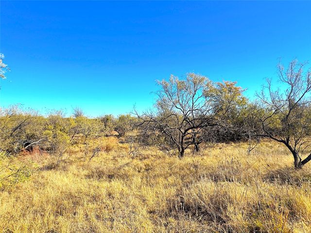 1849 Two Bush Road, Perrin, TX 76486