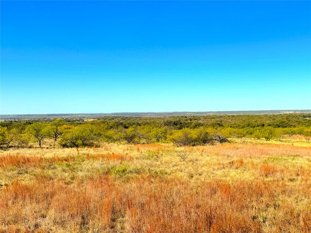 1849 Two Bush Road, Perrin, TX 76486