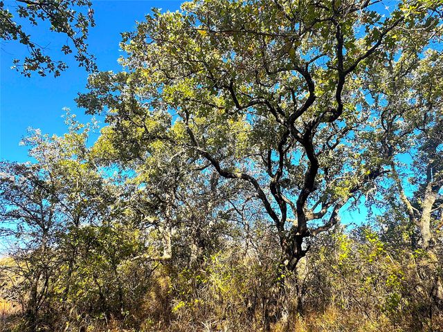 1849 Two Bush Road, Perrin, TX 76486