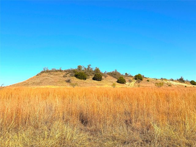 1849 Two Bush Road, Perrin, TX 76486
