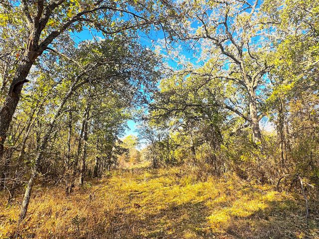 1849 Two Bush Road, Perrin, TX 76486